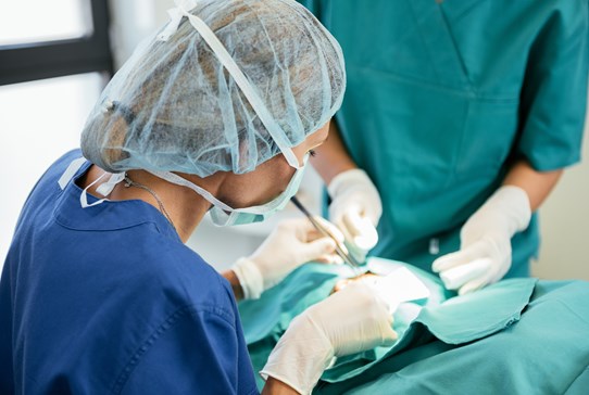 Faculty of Surgical Trainers Faculty of Surgical Trainers